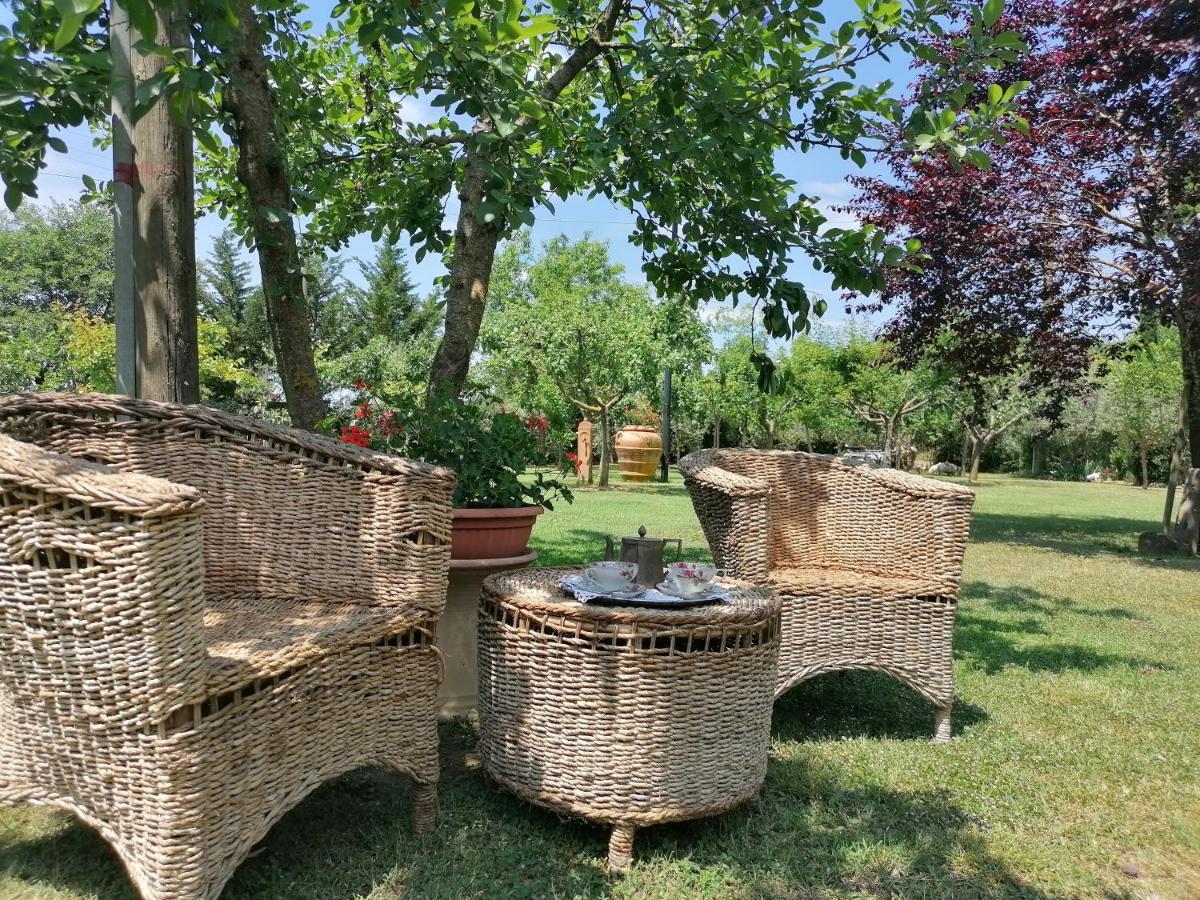 Podere Piandarca 테라누오바 브라씨올리니 외부 사진
