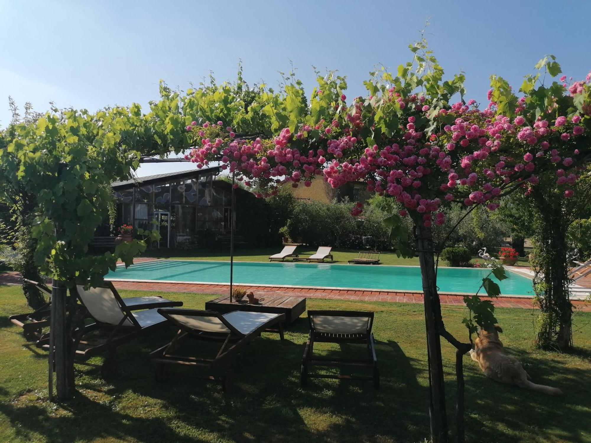 Podere Piandarca 테라누오바 브라씨올리니 외부 사진